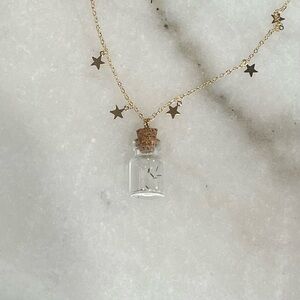 Wish Upon A Star Dandelion Wish Necklace 22in